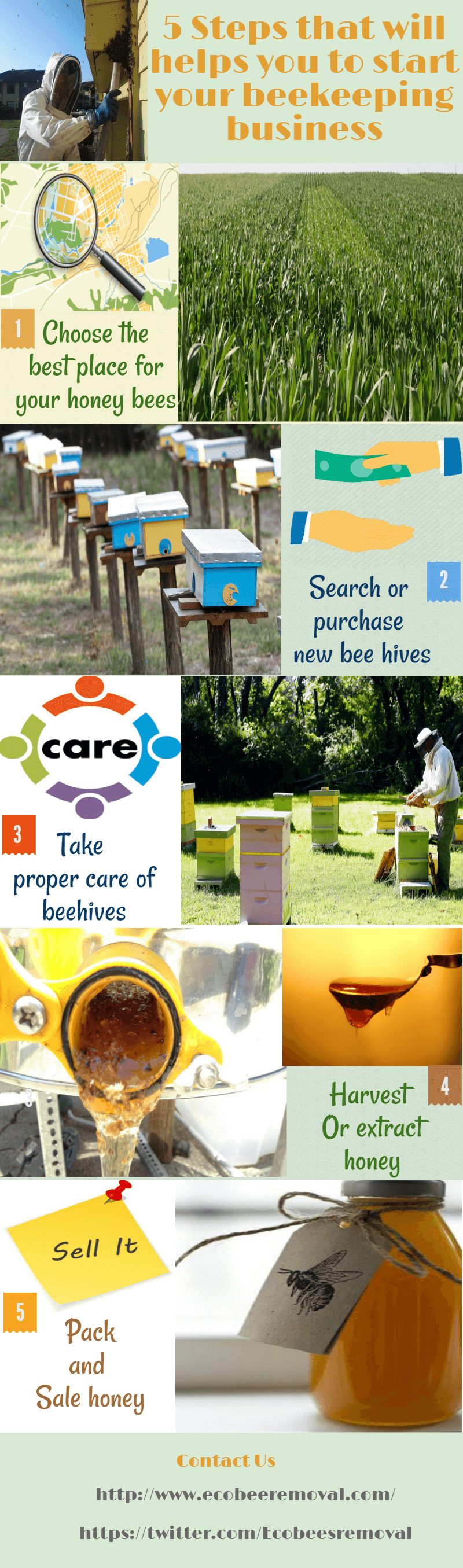 5 Steps that will helps you to start your beekeeping business
